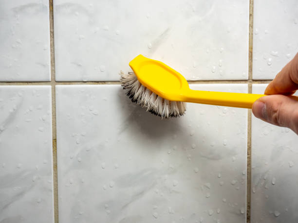 Best Affordable Mold Removal  in Greens Farms, CT