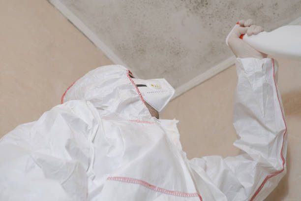 Best Mold Cleaning Services  in Greens Farms, CT